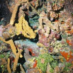 Bah02_009.jpg