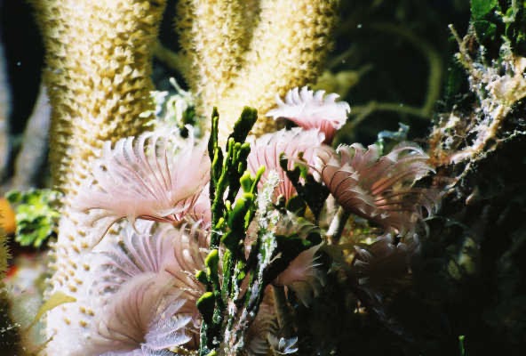 Bah02_050.jpg