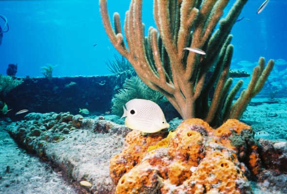 Bah02_163.jpg