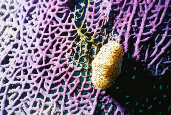 Bah02_181.jpg