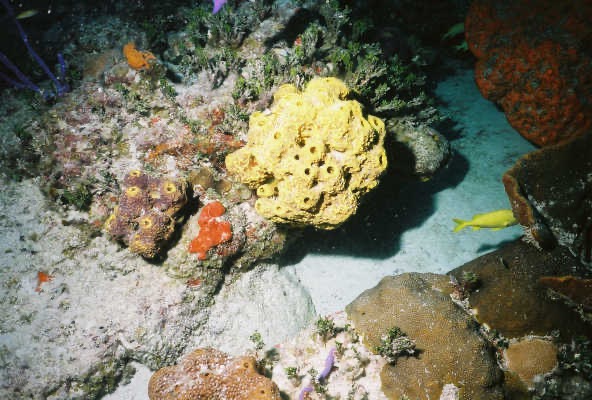Bah02_202.jpg