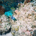 Bah02_222.jpg