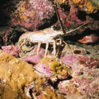 Bah02_251.jpg