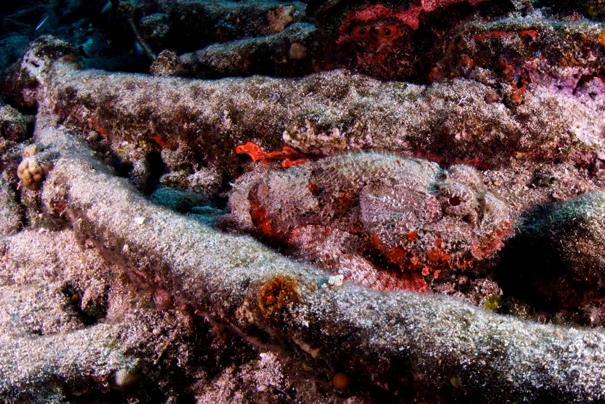 2014-07-20 Bahamas2014D1D1 12.jpg
