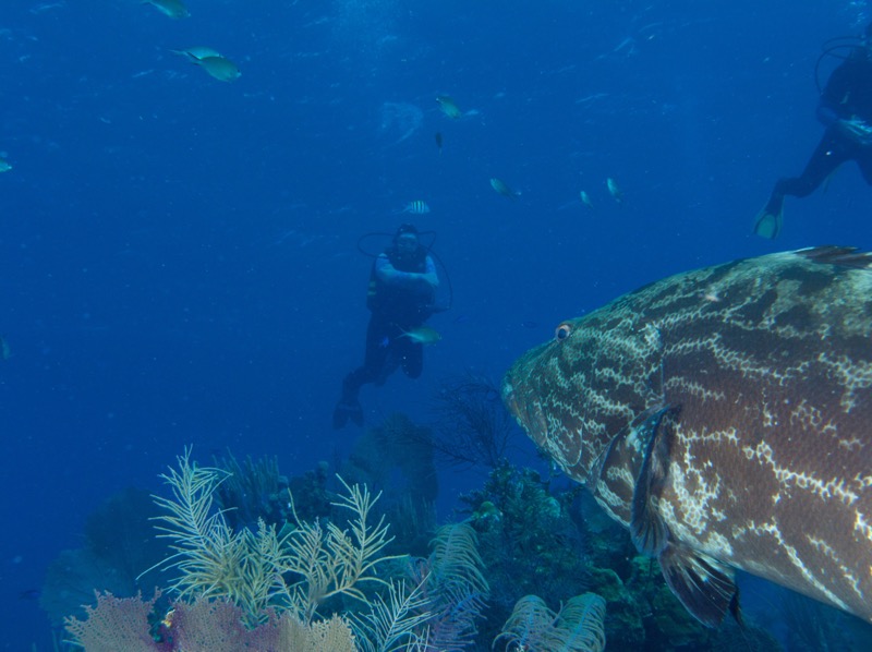 Belize 2010 D3D2 10.jpg