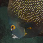 2017-08-29 Belize d3d4 522.jpg