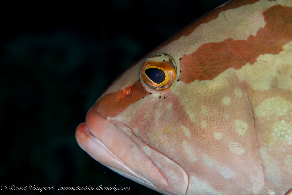 20210614- D2D1 Belize -17.jpg