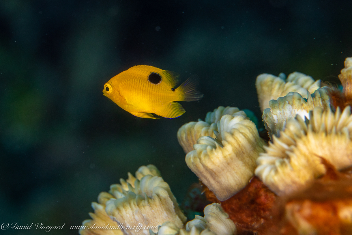 20210614- D2D1 Belize -34.jpg