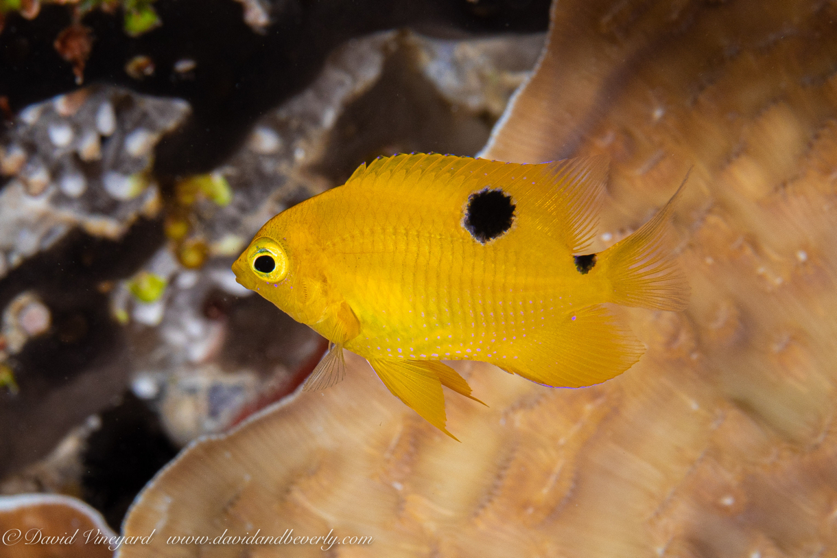 20190721- BelizeJulyd1d2-7.jpg