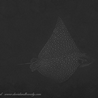 20190721- BelizeJulyd1d3-4.jpg