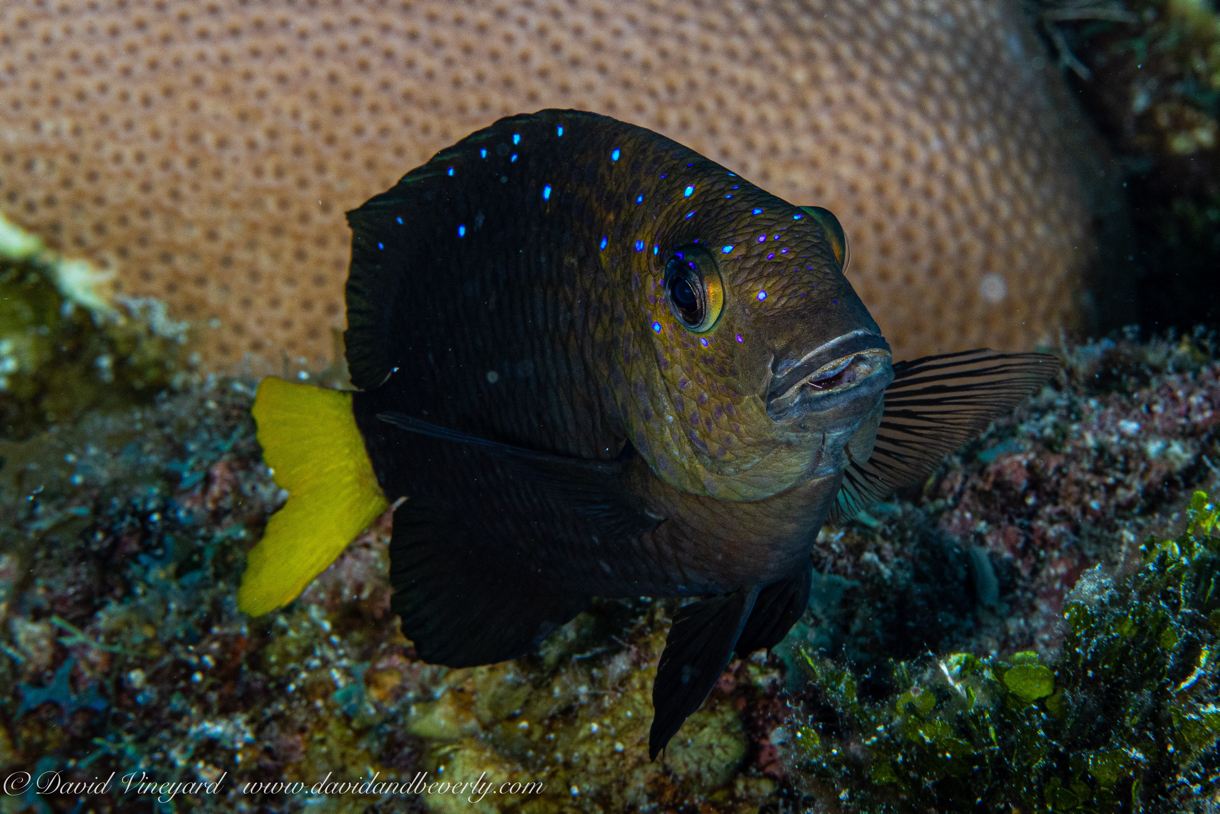 20190722- BelizeJulyd2d3-20.jpg