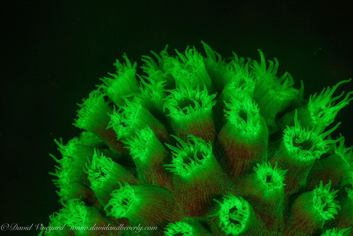 20190610- Belized2d5-20.jpg