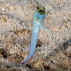 20190613- Belized5d4-109.jpg