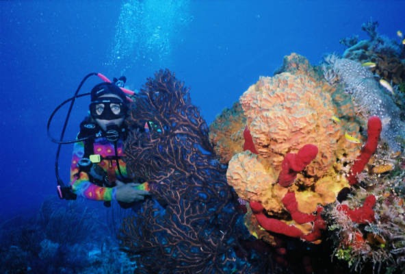 CaySal04111.jpg