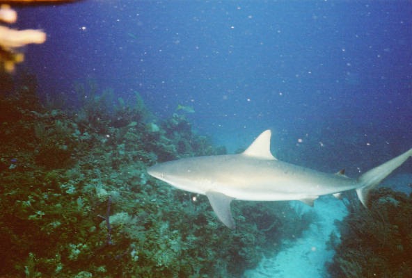 Exu02_009.jpg