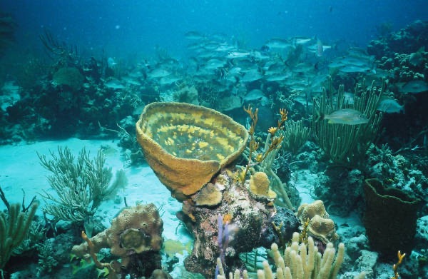 Exu02_033.jpg