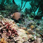 Exu02_052.jpg