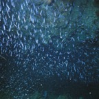 Exu02_060.jpg