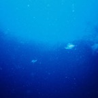 Exu02_125.jpg
