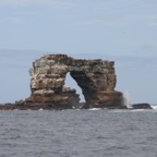 Galapagos_Land_D40076.jpg