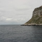 Galapagos_Land_D40101.jpg