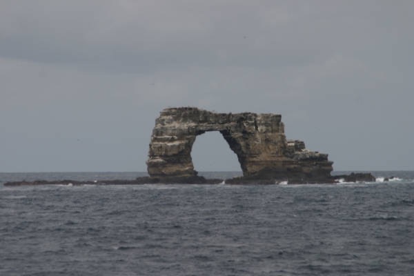 Galapagos_Land_D40105.jpg