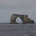 Galapagos_Land_D40105.jpg