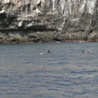 Galapagos_Land_D50171.jpg