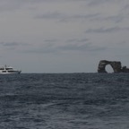 Galapagos_Land_D50173.jpg