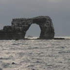 Galapagos_Land_D50205.jpg