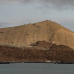 Galapagos_Land_D70052.jpg