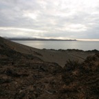 Galapagos_Land_D70261.jpg