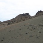 Galapagos_Land_D70269.jpg