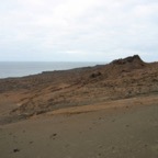 Galapagos_Land_D70276.jpg