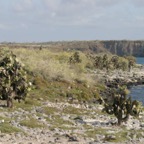 Galapagos_Land_D80099.jpg