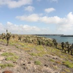 Galapagos_Land_D80127.jpg