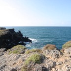 Galapagos_Land_D80134.jpg