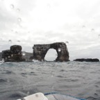 Galapagos_UW_D30082.jpg