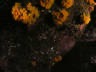 th_Galapagos_UW_D30107.jpg