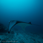 20200228- Maldives 2020 D5D1-9.jpg