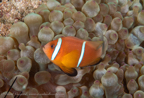 20190930- Oman 2019 d2d3-27.jpg