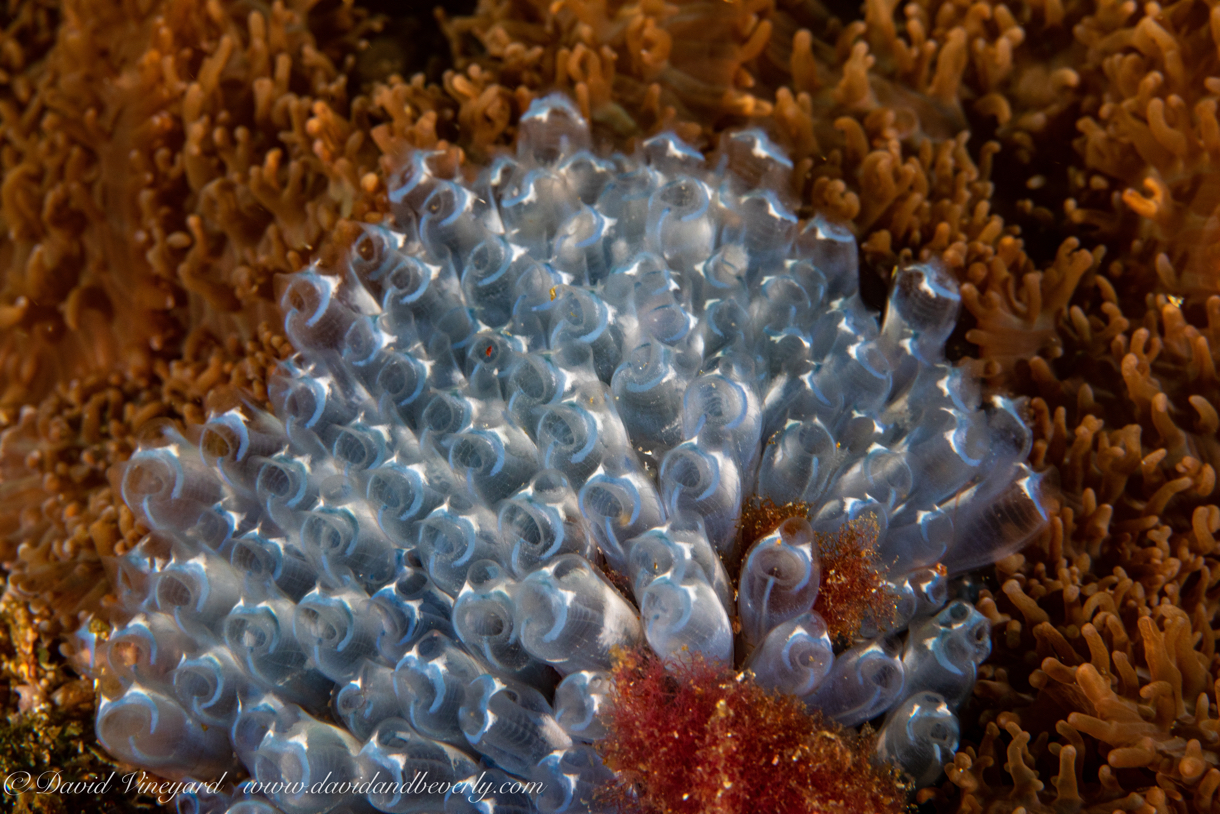 20191001- Oman 2019 d3d3-3.jpg
