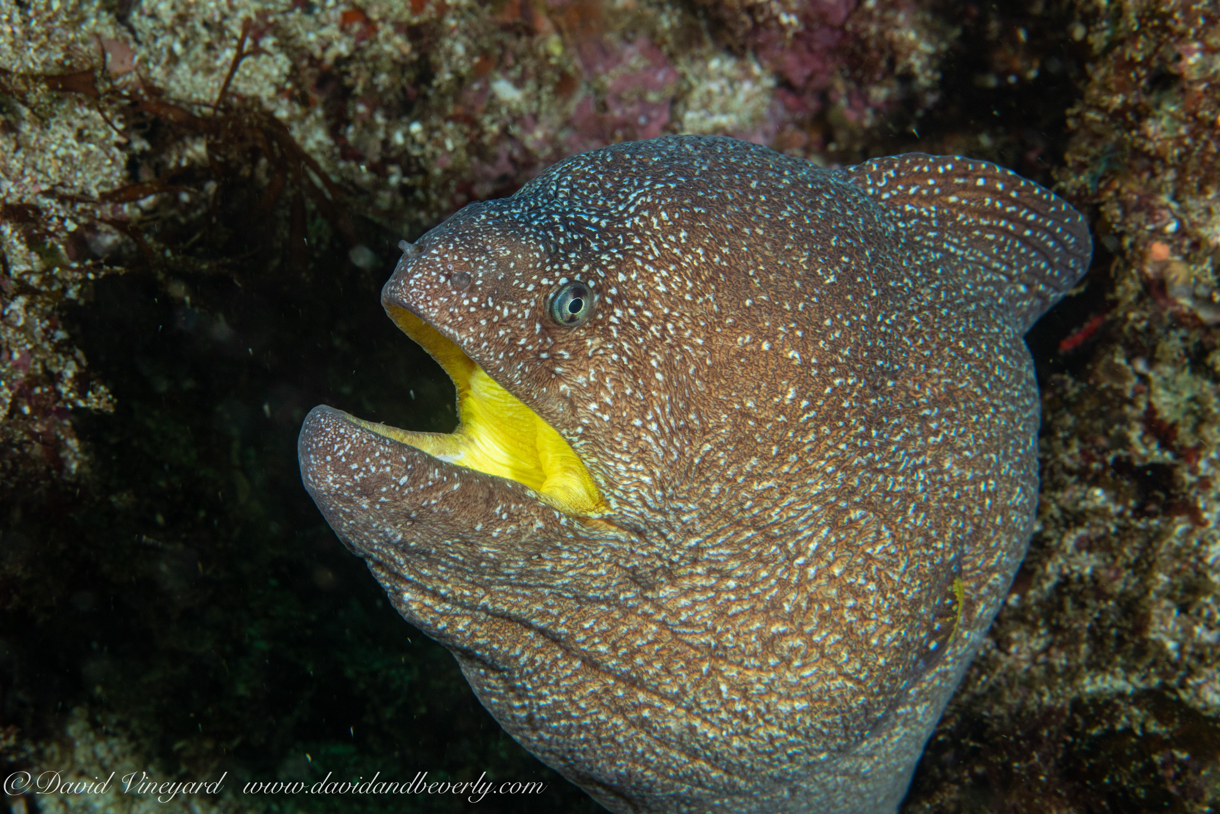 20191003- Oman 2019 d5d2-55.jpg