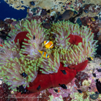 20190827- RSAId3-126.jpg