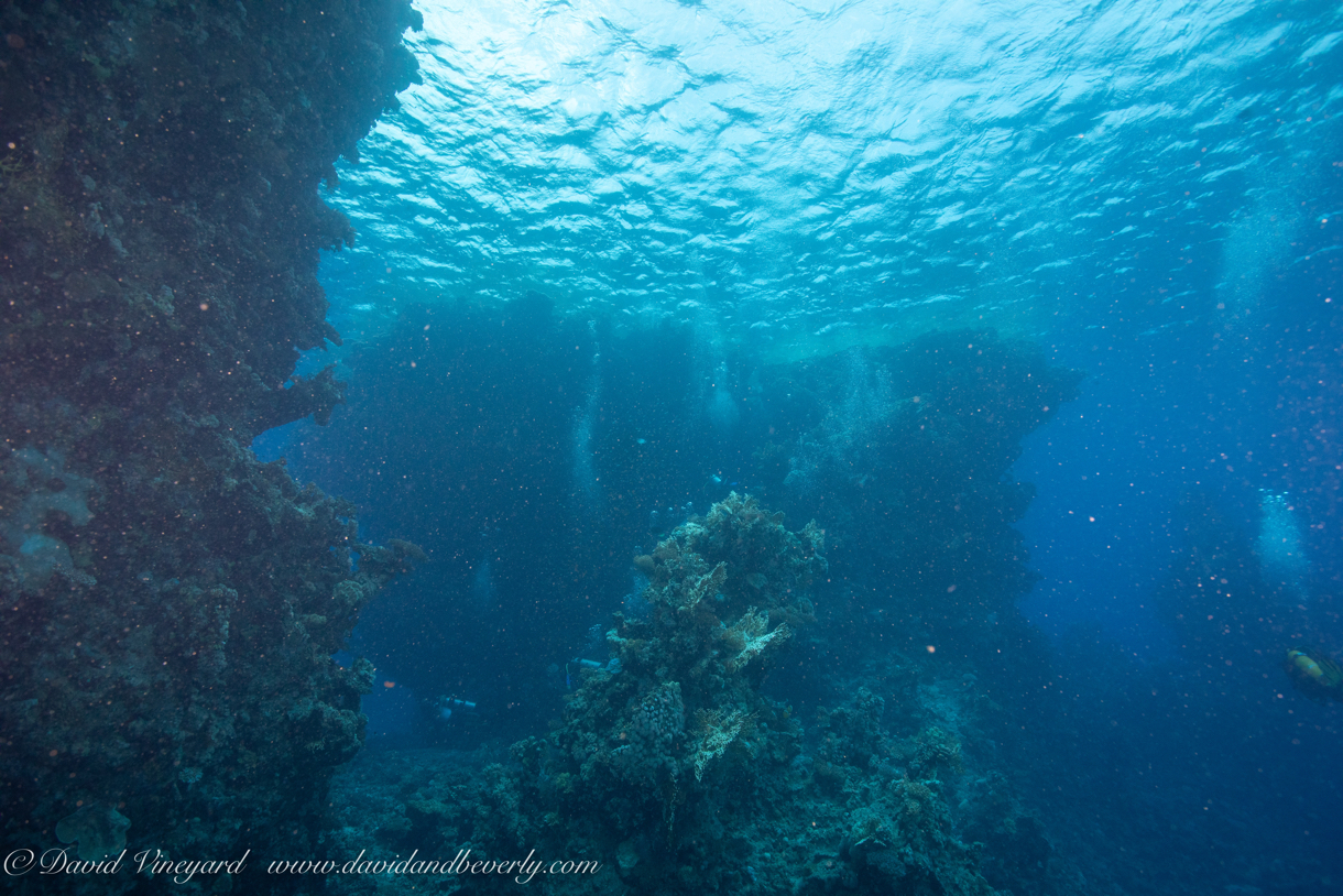 20190827- RSAId3-22.jpg