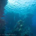 20190827- RSAId3-22.jpg