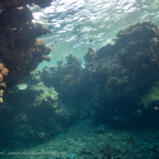 20190827- RSAId3-68.jpg