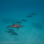 20190828- RSAId4-91.jpg