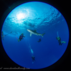 20190829- RSAId5d1-7.jpg