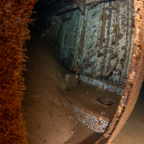 20190901- RSAIId1d2-49.jpg